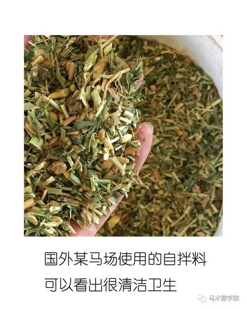 马粮的图片,滋养战马的生命之源